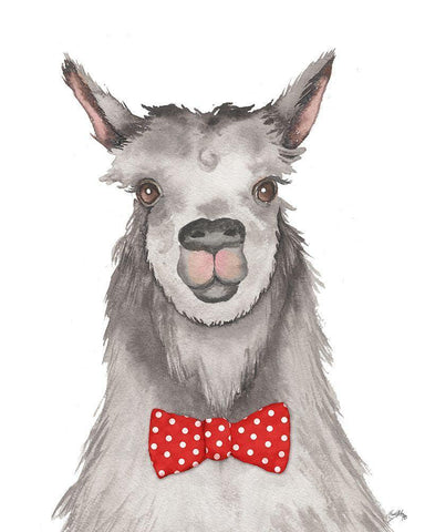 Llama with Red Dot Bow tie White Modern Wood Framed Art Print with Double Matting by Medley, Elizabeth