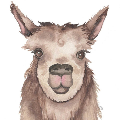 Llama White Modern Wood Framed Art Print by Medley, Elizabeth