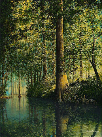 Peaceful River Black Ornate Wood Framed Art Print with Double Matting by Nawrocke, Bruce