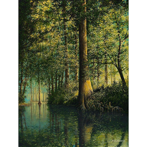 Peaceful River Black Modern Wood Framed Art Print by Nawrocke, Bruce