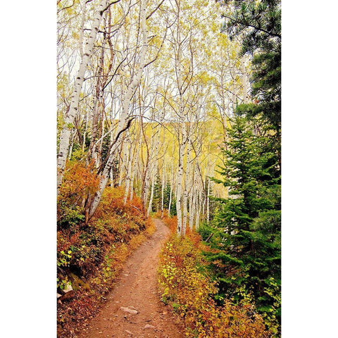 Walk In Christ Black Modern Wood Framed Art Print with Double Matting by Nawrocke, Bruce