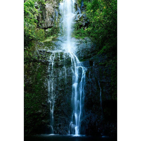 Natural Rain Forest Gold Ornate Wood Framed Art Print with Double Matting by Nawrocke, Bruce
