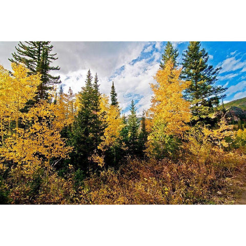 Natures Hidden Treasures I Black Modern Wood Framed Art Print by Nawrocke, Bruce