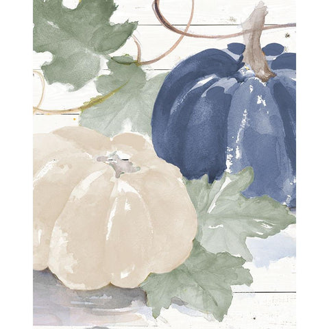 Blue And White Pumpkins White Modern Wood Framed Art Print by Loreth, Lanie