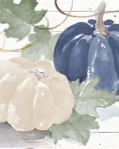 Blue And White Pumpkins Black Ornate Wood Framed Art Print with Double Matting by Loreth, Lanie