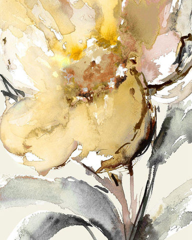 Bright Blooms II Black Ornate Wood Framed Art Print with Double Matting by Loreth, Lanie