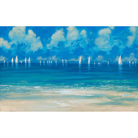 Blue Shores Black Modern Wood Framed Art Print by Meneely, Dan