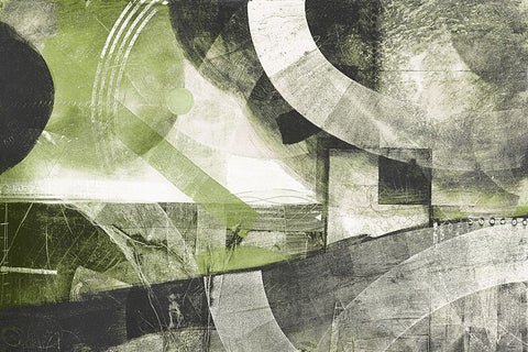 Summer Greens II Black Ornate Wood Framed Art Print with Double Matting by Meneely, Dan