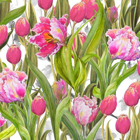 Tulip Symphony I White Modern Wood Framed Art Print with Double Matting by Diannart