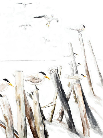 Gull Point White Modern Wood Framed Art Print with Double Matting by Pinto, Patricia