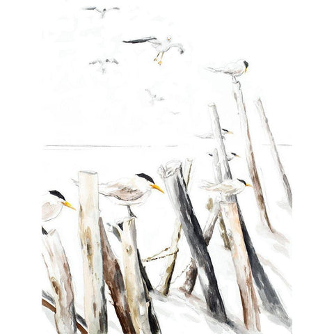 Gull Point Black Modern Wood Framed Art Print by Pinto, Patricia