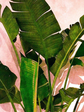 Emerald Palm Black Ornate Wood Framed Art Print with Double Matting by Navas, Emily