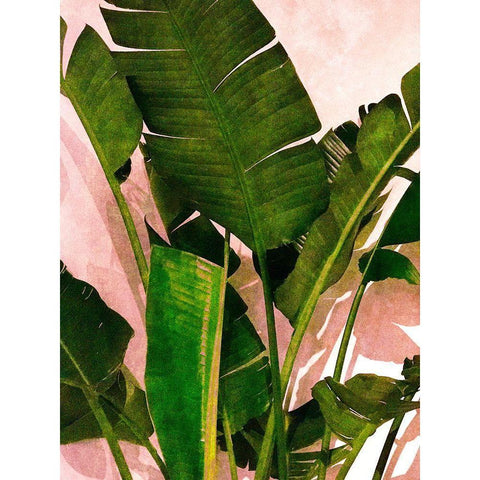 Emerald Palm Black Modern Wood Framed Art Print with Double Matting by Navas, Emily