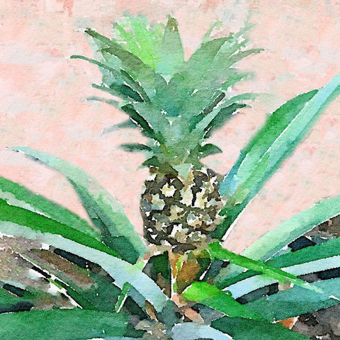 Pineapple Sprout Gold Ornate Wood Framed Art Print with Double Matting by Navas, Emily
