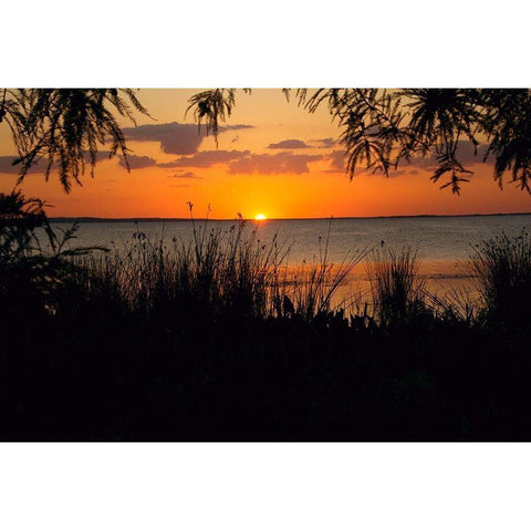 Sunset Seaside White Modern Wood Framed Art Print by ODell, Debbie