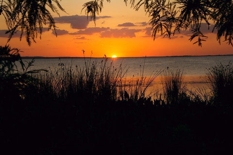 Sunset Seaside Black Ornate Wood Framed Art Print with Double Matting by ODell, Debbie