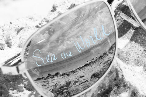 Sea the World Black Ornate Wood Framed Art Print with Double Matting by ODell, Debbie