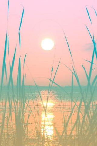 Fresh Sunset Views White Modern Wood Framed Art Print with Double Matting by ODell, Debbie