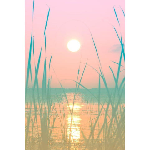 Fresh Sunset Views Black Modern Wood Framed Art Print by ODell, Debbie