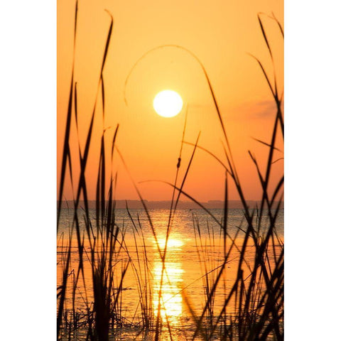 Sunset on the Lake I Black Modern Wood Framed Art Print by ODell, Debbie