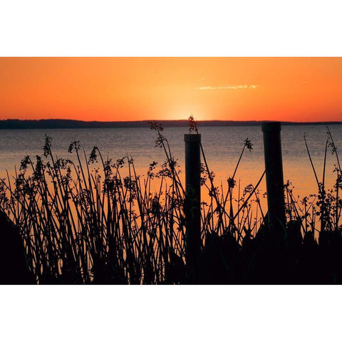 Sundown Coast Gold Ornate Wood Framed Art Print with Double Matting by ODell, Debbie