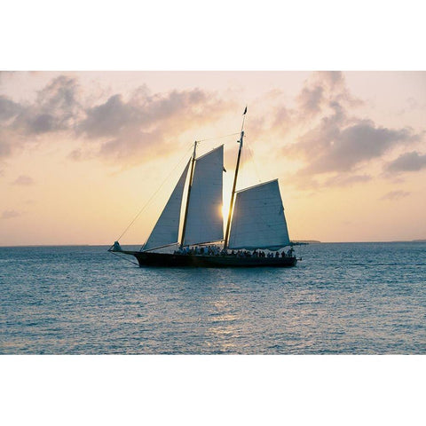 Coastal Sailing Black Modern Wood Framed Art Print with Double Matting by ODell, Debbie