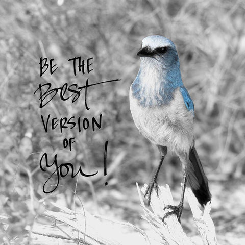 Best Version of You White Modern Wood Framed Art Print by ODell, Debbie