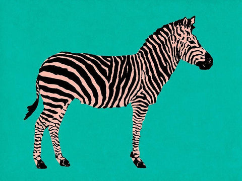 Zebra on Teal Black Ornate Wood Framed Art Print with Double Matting by Pinto, Patricia