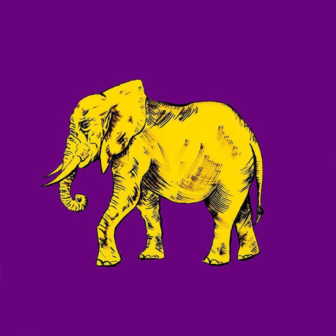 Elephant on Purple White Modern Wood Framed Art Print with Double Matting by Pinto, Patricia