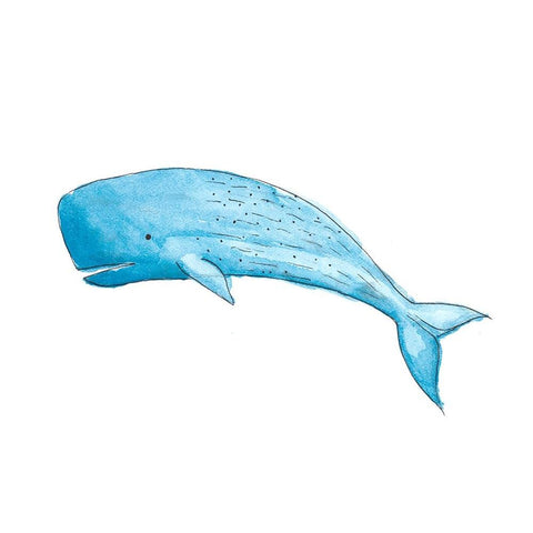 Great Blue Whale Black Modern Wood Framed Art Print with Double Matting by SD Graphics Studio