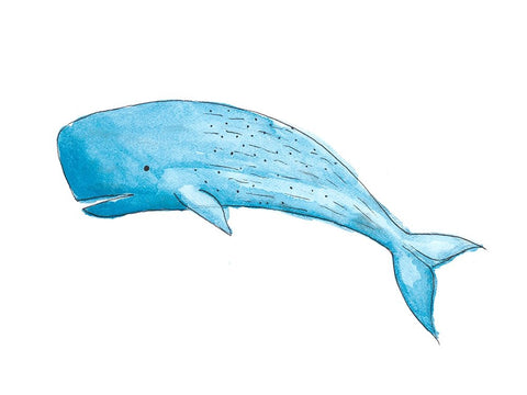 Great Blue Whale Black Ornate Wood Framed Art Print with Double Matting by SD Graphics Studio