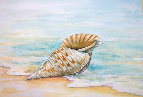 Queen Conch Black Ornate Wood Framed Art Print with Double Matting by Diannart