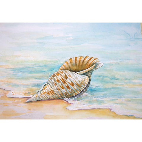 Queen Conch Black Modern Wood Framed Art Print with Double Matting by Diannart