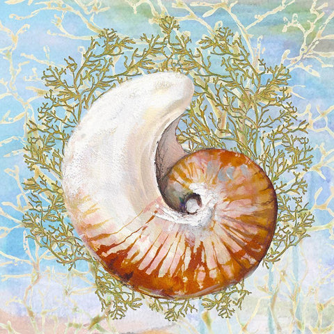 Shell Medley III Black Modern Wood Framed Art Print by Diannart