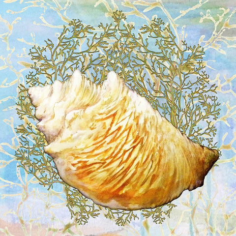 Shell Medley IV Black Modern Wood Framed Art Print by Diannart