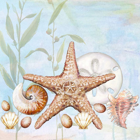 Ocean Prizes III White Modern Wood Framed Art Print by Diannart