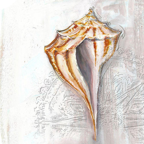 Pearl Shell Medley II Black Ornate Wood Framed Art Print with Double Matting by Diannart