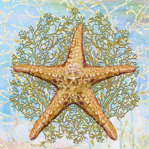 Shell Medley II Gold Ornate Wood Framed Art Print with Double Matting by Diannart