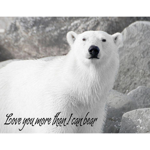 More than I can Bear Black Modern Wood Framed Art Print with Double Matting by Mansfield, Kathy