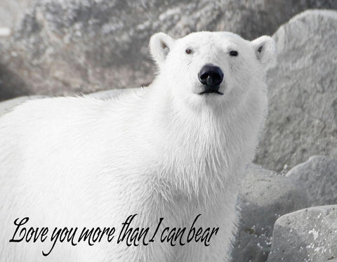 More than I can Bear White Modern Wood Framed Art Print with Double Matting by Mansfield, Kathy