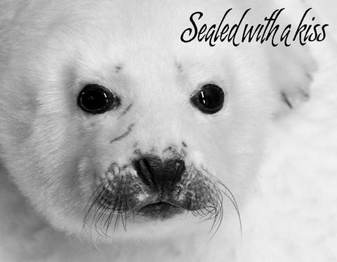 Sealed with a Kiss White Modern Wood Framed Art Print with Double Matting by Mansfield, Kathy