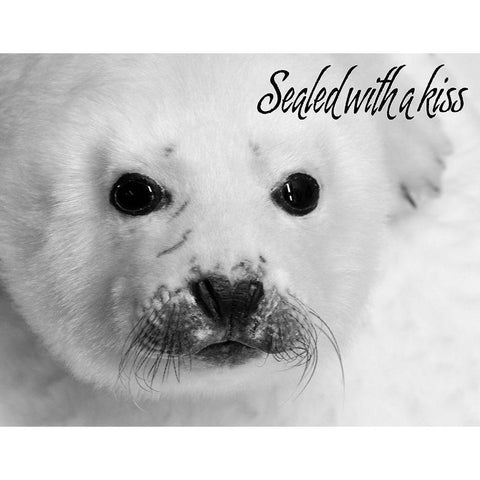 Sealed with a Kiss Black Modern Wood Framed Art Print with Double Matting by Mansfield, Kathy