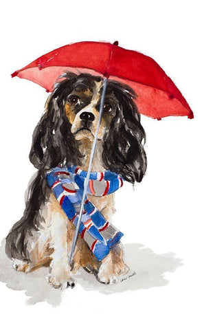 King Charles Spaniel In The Rain White Modern Wood Framed Art Print with Double Matting by Loreth, Lanie