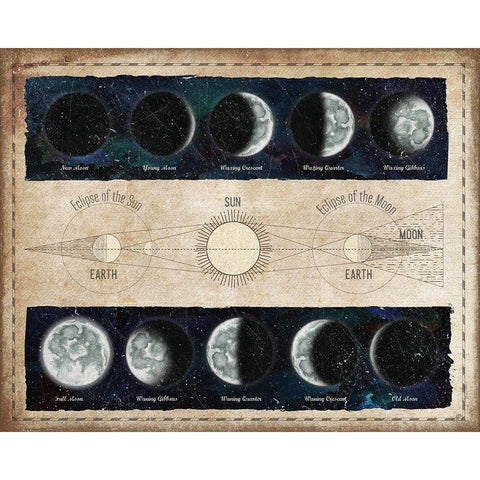 Moon Phases and Eclipses Gold Ornate Wood Framed Art Print with Double Matting by Medley, Elizabeth