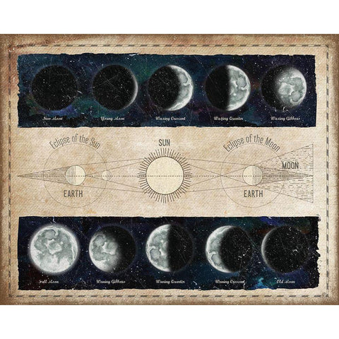 Moon Phases and Eclipses White Modern Wood Framed Art Print by Medley, Elizabeth