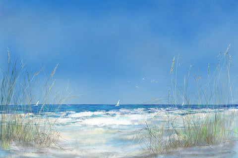 Grassy Seascape White Modern Wood Framed Art Print with Double Matting by DeRice, Julie