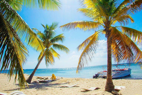 Tropical Oasis Black Ornate Wood Framed Art Print with Double Matting by Navas, Emily