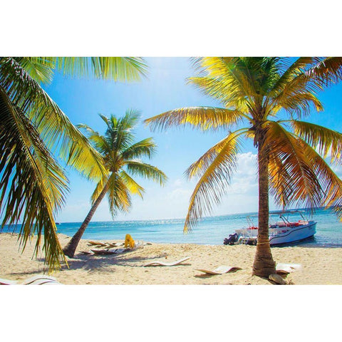 Tropical Oasis Black Modern Wood Framed Art Print by Navas, Emily