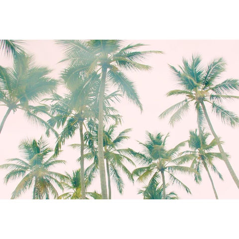 Top Of Palm Island Black Modern Wood Framed Art Print with Double Matting by Navas, Emily