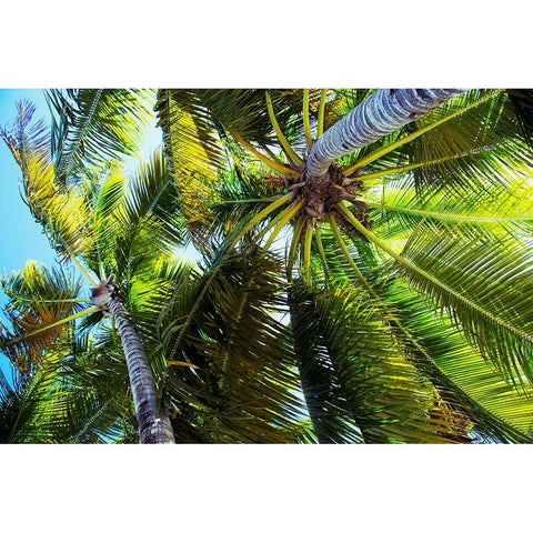 The Shady Spots I Black Modern Wood Framed Art Print by Navas, Emily